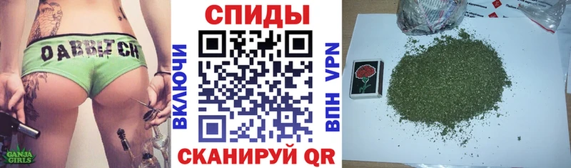Бутират буратино купить цена Бикин
