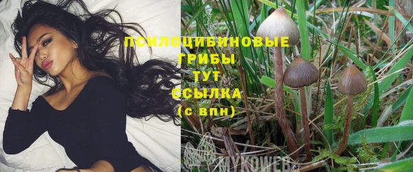 метамфетамин Алексеевка