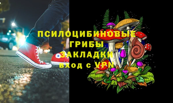 героин Алексин