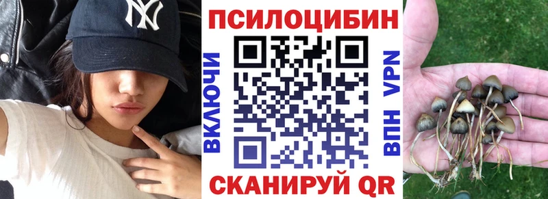 наркота  Бикин  Галлюциногенные грибы мицелий 